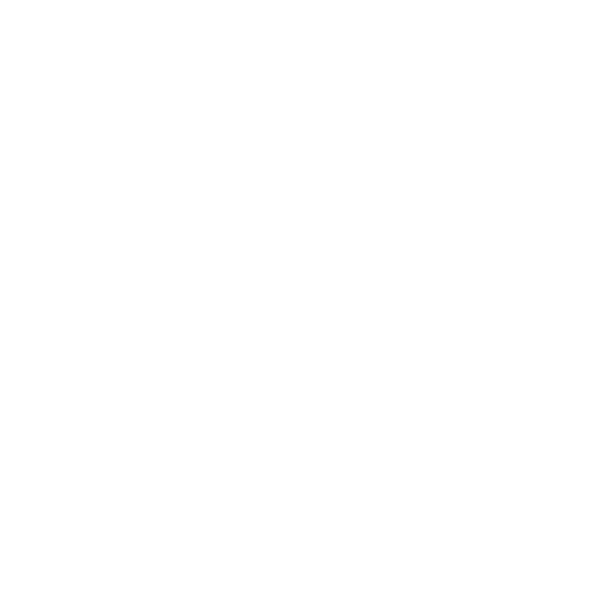 Website Revolution